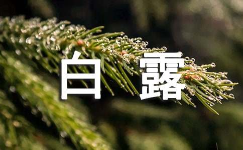 【荐】白露唯美文案