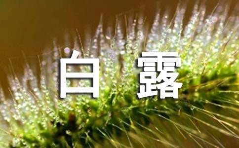 白露唯美文案短句优秀